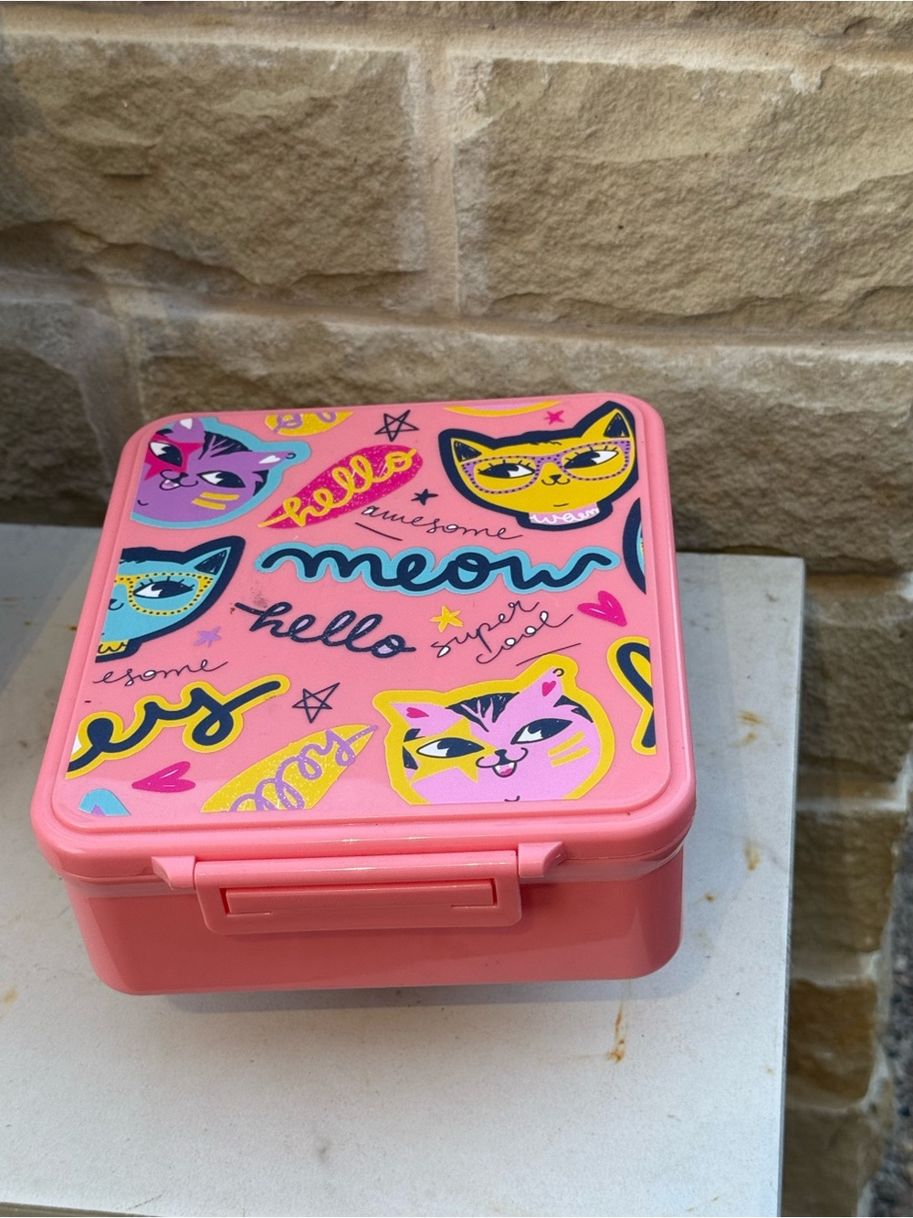 Pink Cat Art Supply Carry Case or Lunchbox